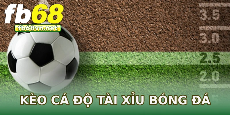 Kèo cá độ tài xỉu bóng đá