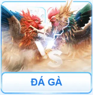 Đá gà